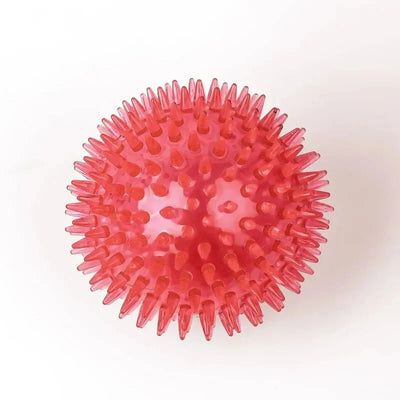 https://cdn.shopify.com/s/files/1/0647/9170/7830/files/jouet-chiot-dent-1696720.webp?v=1777923495