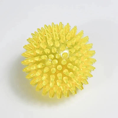 https://cdn.shopify.com/s/files/1/0647/9170/7830/files/jouet-chiot-dent-3520297.webp?v=1777923495