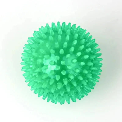 https://cdn.shopify.com/s/files/1/0647/9170/7830/files/jouet-chiot-dent-4125262.webp?v=1777923496