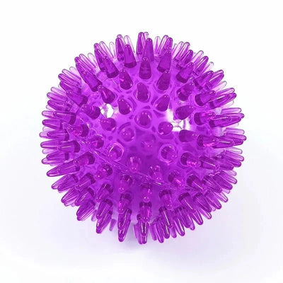 https://cdn.shopify.com/s/files/1/0647/9170/7830/files/jouet-chiot-dent-4776512.webp?v=1777923495