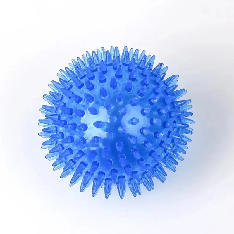 https://cdn.shopify.com/s/files/1/0647/9170/7830/files/jouet-chiot-dent-8489653.webp?v=1777923496