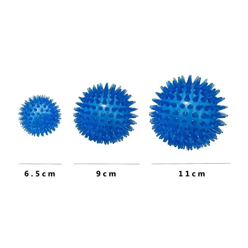 https://cdn.shopify.com/s/files/1/0647/9170/7830/files/jouet-chiot-dent-8489653.webp?v=1777923496