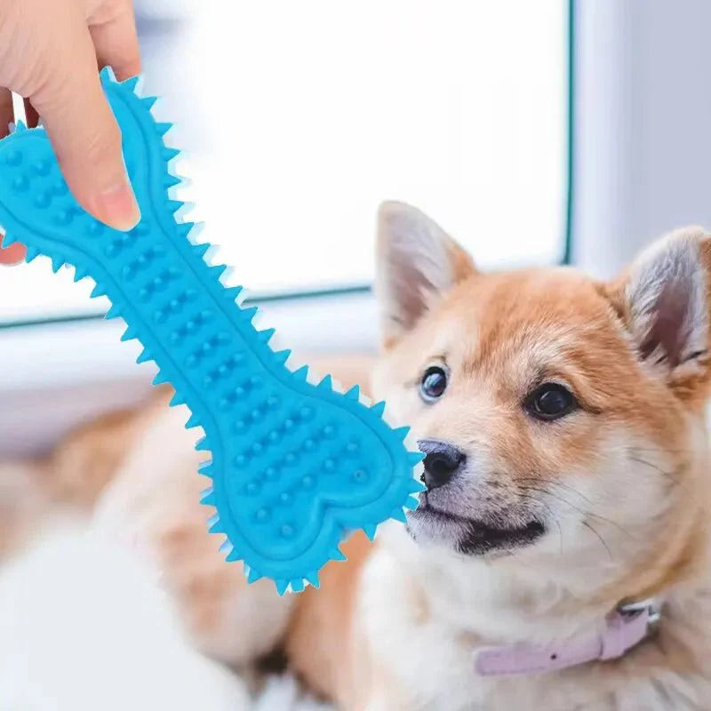 https://cdn.shopify.com/s/files/1/0647/9170/7830/files/jouet-chiot-pas-cher-7990429.webp?v=1777923792