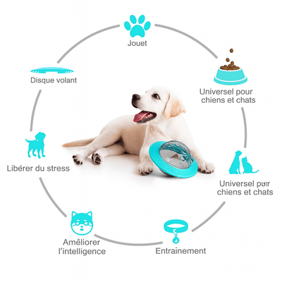 https://cdn.shopify.com/s/files/1/0647/9170/7830/files/jouet-interactif-a-croquette-pour-chien-6012663.png?v=1777924876
