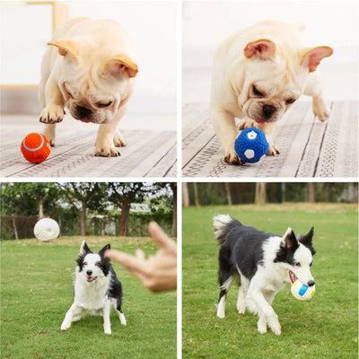 https://cdn.shopify.com/s/files/1/0647/9170/7830/files/jouet-pouet-pouet-pour-chien-1347057.webp?v=1777923131