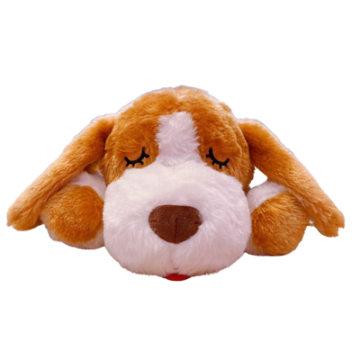 https://cdn.shopify.com/s/files/1/0647/9170/7830/files/jouet-pour-chiot-3-mois-6529211.webp?v=1777924092