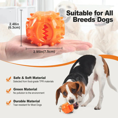 https://cdn.shopify.com/s/files/1/0647/9170/7830/files/jouet-pour-chiot-berger-australien-4983974.webp?v=1777923616