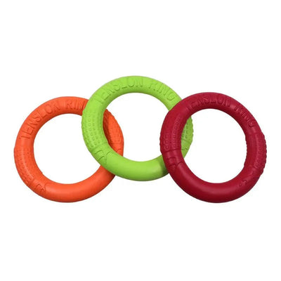 https://cdn.shopify.com/s/files/1/0647/9170/7830/files/jouet-pour-chiot-jack-russel-9487711.webp?v=1777923129