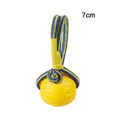https://cdn.shopify.com/s/files/1/0647/9170/7830/files/jouet-pour-chiot-qui-mordille-6516520.webp?v=1777923548