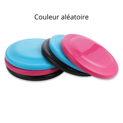 https://cdn.shopify.com/s/files/1/0763/9767/4819/files/jouet_pour_chien_grand_frisbee_chiot.png?v=1709570341