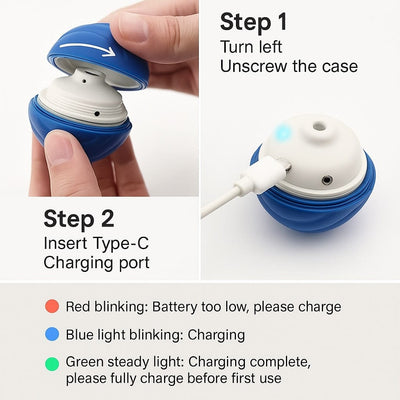 https://cdn.shopify.com/s/files/1/0489/2898/1148/files/jouetchien.jpg?v=1744537779