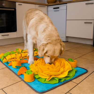 https://cdn.shopify.com/s/files/1/0763/9767/4819/files/kit_tapis_de_fouille_chien_cuisine.png?v=1756138336
