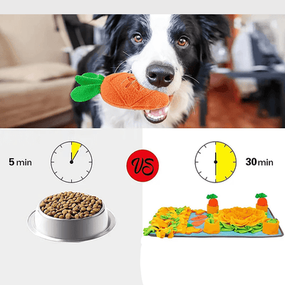https://cdn.shopify.com/s/files/1/0763/9767/4819/files/kit_tapis_de_fouille_chien_duree_de_repas.png?v=1756138336
