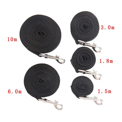https://cdn.shopify.com/s/files/1/0647/9170/7830/files/laisse-20-metres-pour-chien-3379587.webp?v=1777923788