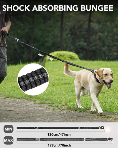 https://cdn.shopify.com/s/files/1/0647/9170/7830/files/laisse-amortisseur-pour-gros-chien-6127103.webp?v=1777923560