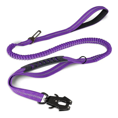 https://cdn.shopify.com/s/files/1/0647/9170/7830/files/laisse-amortisseur-pour-gros-chien-8178761.webp?v=1777923561