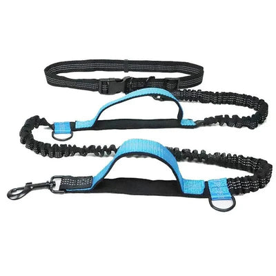 https://cdn.shopify.com/s/files/1/0647/9170/7830/files/laisse-anti-traction-pour-chien-3141255.webp?v=1777923611