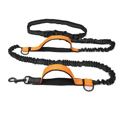 https://cdn.shopify.com/s/files/1/0647/9170/7830/files/laisse-anti-traction-pour-chien-3947293.webp?v=1777923611