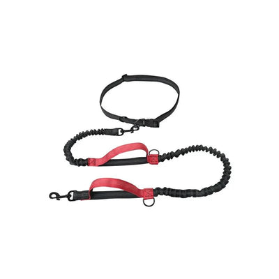 https://cdn.shopify.com/s/files/1/0647/9170/7830/files/laisse-anti-traction-pour-chien-4858729.webp?v=1777923611