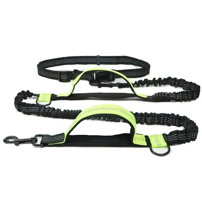 https://cdn.shopify.com/s/files/1/0647/9170/7830/files/laisse-anti-traction-pour-chien-6652005.webp?v=1777923612