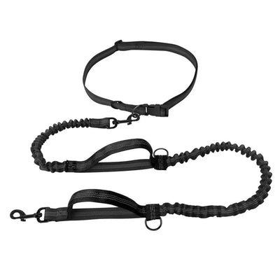 https://cdn.shopify.com/s/files/1/0647/9170/7830/files/laisse-anti-traction-pour-chien-9314730.webp?v=1777923611