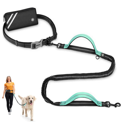 https://cdn.shopify.com/s/files/1/0647/9170/7830/files/laisse-canicross-gros-chien-2807866.webp?v=1777923676