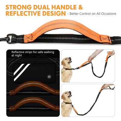 https://cdn.shopify.com/s/files/1/0647/9170/7830/files/laisse-canicross-gros-chien-5416026.webp?v=1777923677