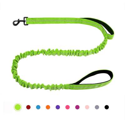 https://cdn.shopify.com/s/files/1/0647/9170/7830/files/laisse-canicross-petit-chien-2655906.webp?v=1777923618