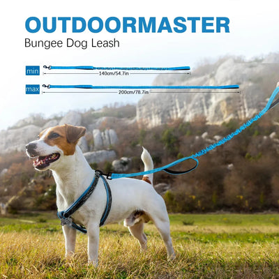 https://cdn.shopify.com/s/files/1/0647/9170/7830/files/laisse-canicross-petit-chien-4425222.webp?v=1777923618