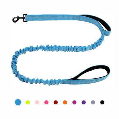 https://cdn.shopify.com/s/files/1/0647/9170/7830/files/laisse-canicross-petit-chien-5756888.webp?v=1777923971