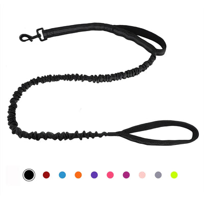 https://cdn.shopify.com/s/files/1/0647/9170/7830/files/laisse-canicross-petit-chien-6118790.webp?v=1777923618