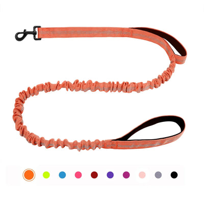 https://cdn.shopify.com/s/files/1/0647/9170/7830/files/laisse-canicross-petit-chien-7057757.webp?v=1777923619
