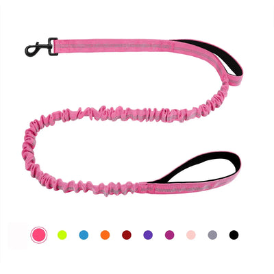 https://cdn.shopify.com/s/files/1/0647/9170/7830/files/laisse-canicross-petit-chien-8745303.webp?v=1777923618
