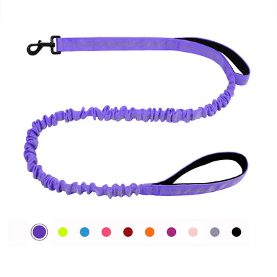 https://cdn.shopify.com/s/files/1/0647/9170/7830/files/laisse-canicross-petit-chien-9797878.webp?v=1777923617