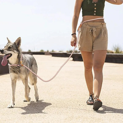 https://cdn.shopify.com/s/files/1/0647/9170/7830/files/laisse-canine-lasso-2979498.webp?v=1777924334