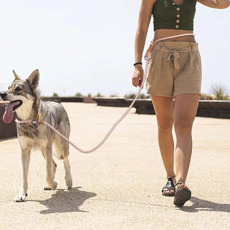 https://cdn.shopify.com/s/files/1/0647/9170/7830/files/laisse-canine-lasso-4119916.webp?v=1777924335