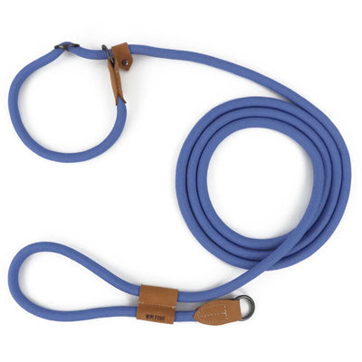 https://cdn.shopify.com/s/files/1/0647/9170/7830/files/laisse-canine-lasso-3807635.webp?v=1777924336