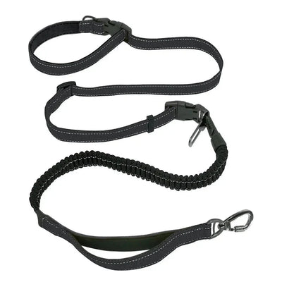 https://cdn.shopify.com/s/files/1/0647/9170/7830/files/laisse-ceinture-canicross-2096413.webp?v=1777923496