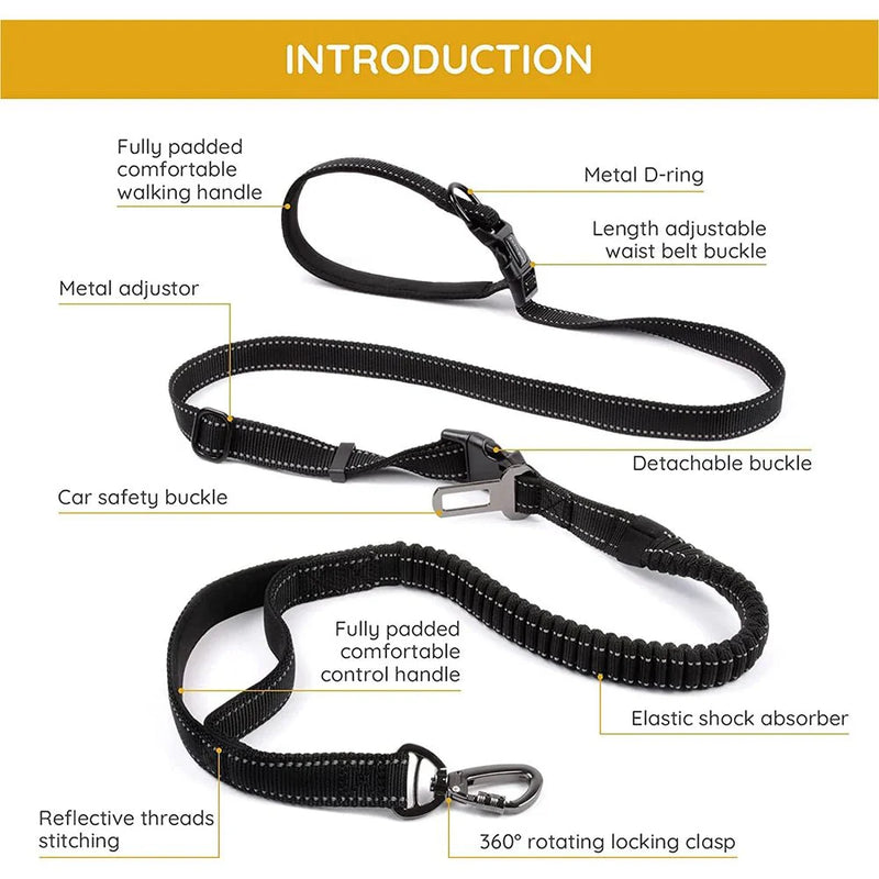 https://cdn.shopify.com/s/files/1/0647/9170/7830/files/laisse-ceinture-canicross-2096413.webp?v=1777923496