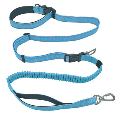 https://cdn.shopify.com/s/files/1/0647/9170/7830/files/laisse-ceinture-canicross-5238002.webp?v=1777923497