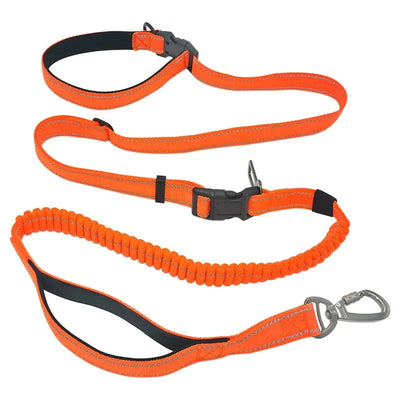 https://cdn.shopify.com/s/files/1/0647/9170/7830/files/laisse-ceinture-canicross-8144116.webp?v=1777923496