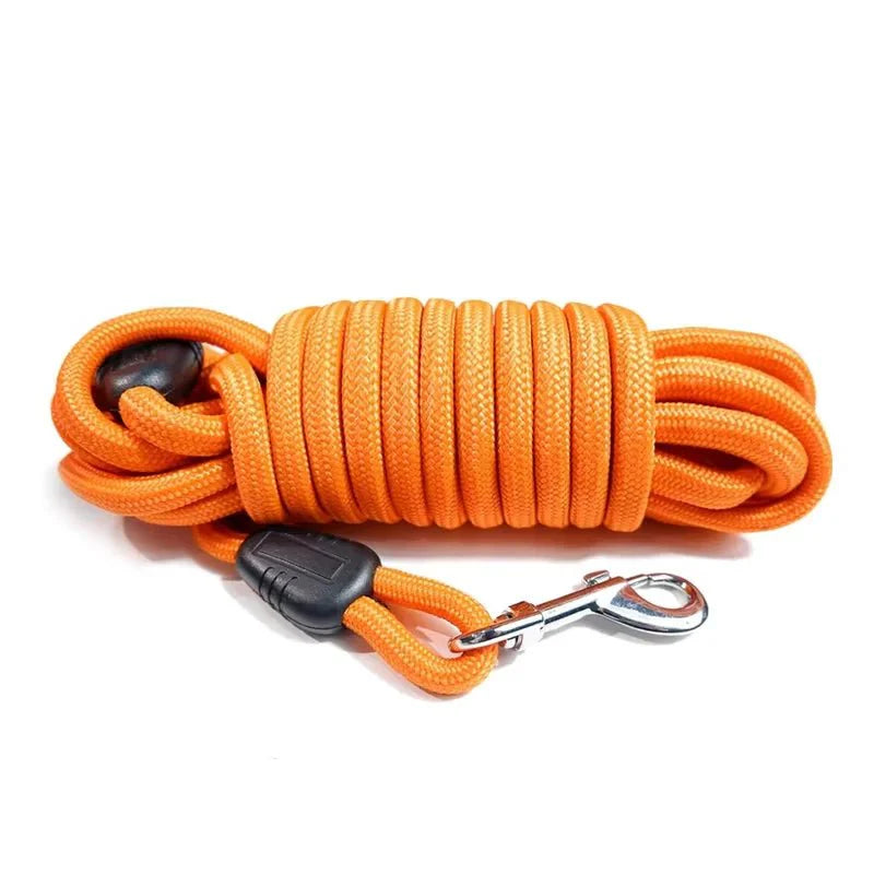 https://cdn.shopify.com/s/files/1/0647/9170/7830/files/laisse-chien-corde-10m-7144810.webp?v=1777923608