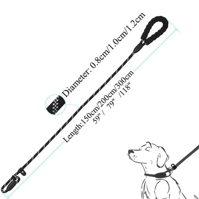 https://cdn.shopify.com/s/files/1/0647/9170/7830/files/laisse-chien-corde-2m-5398341.webp?v=1777923793