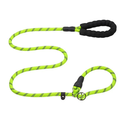 https://cdn.shopify.com/s/files/1/0647/9170/7830/files/laisse-chien-corde-2m-6237651.webp?v=1777923793