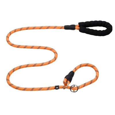 https://cdn.shopify.com/s/files/1/0647/9170/7830/files/laisse-chien-corde-2m-6285035.webp?v=1777923791