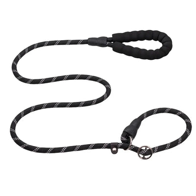 https://cdn.shopify.com/s/files/1/0647/9170/7830/files/laisse-chien-corde-2m-6495715.webp?v=1777923792