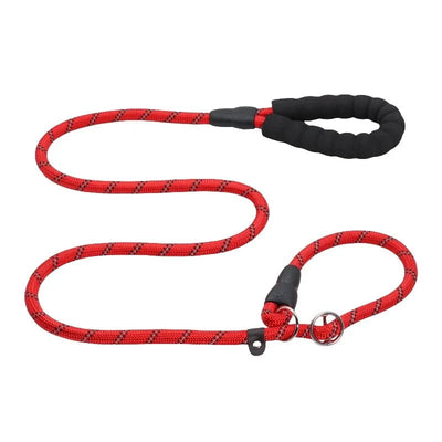 https://cdn.shopify.com/s/files/1/0647/9170/7830/files/laisse-chien-corde-2m-7818104.webp?v=1777923792