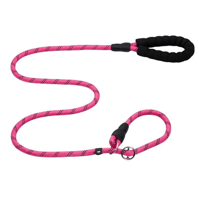 https://cdn.shopify.com/s/files/1/0647/9170/7830/files/laisse-chien-corde-2m-7823488.webp?v=1777923792