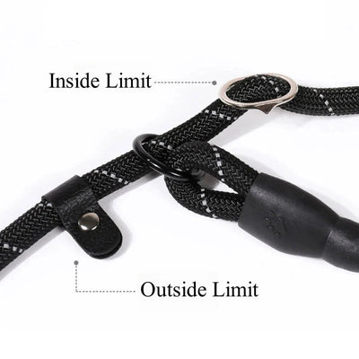 https://cdn.shopify.com/s/files/1/0647/9170/7830/files/laisse-chien-corde-2m-9275968.webp?v=1777923792