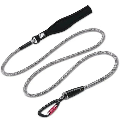 https://cdn.shopify.com/s/files/1/0647/9170/7830/files/laisse-chien-corde-escalade-2074689.webp?v=1777923491